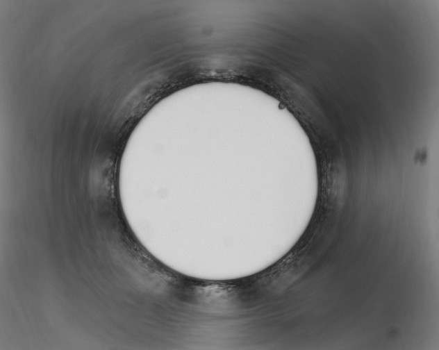 X0000115650511200912221334