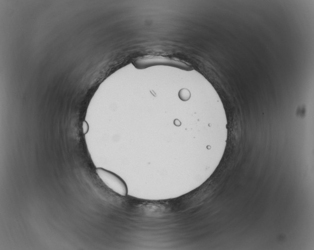 X0000115650512200912221334