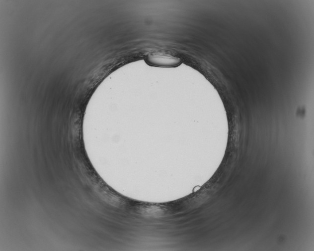 X0000115650513200912221334