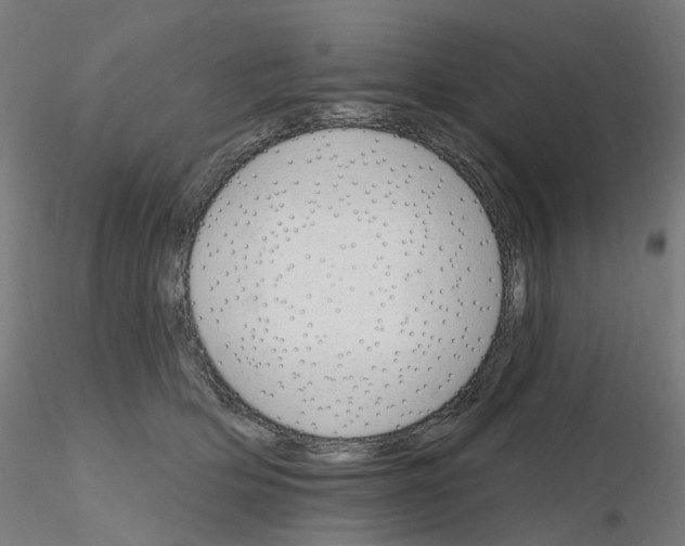 X0000115650514200912221334