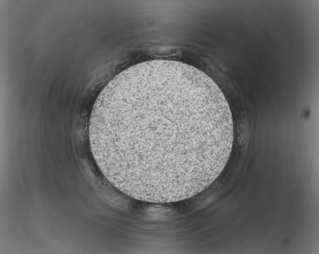 X0000115650515200912221334