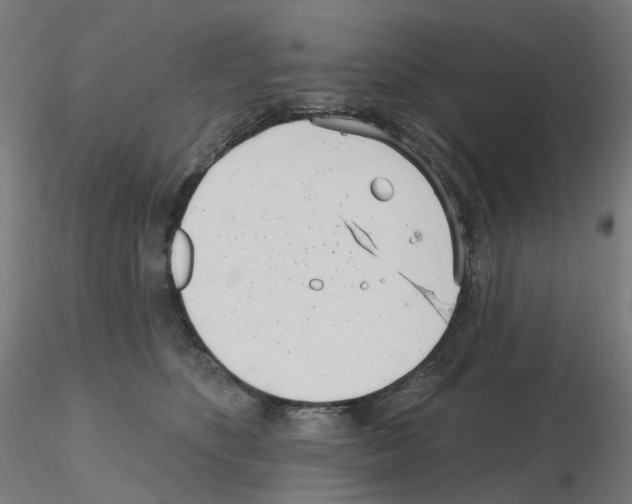 X0000115650516200912221334
