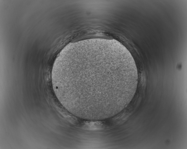 X0000115650517200912221334