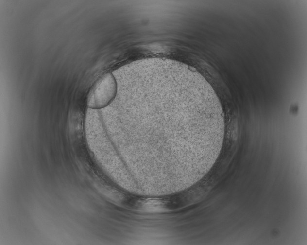 X0000115650518200912221334