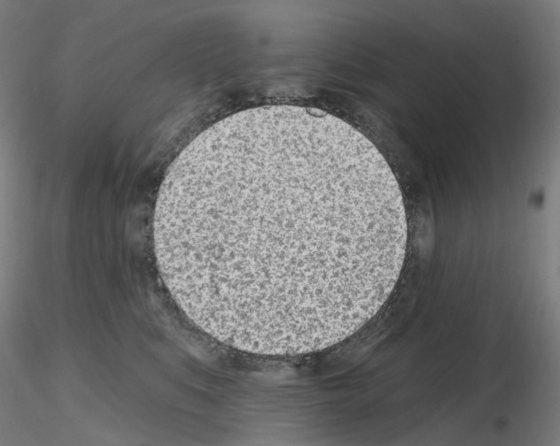 X0000115650519200912221334