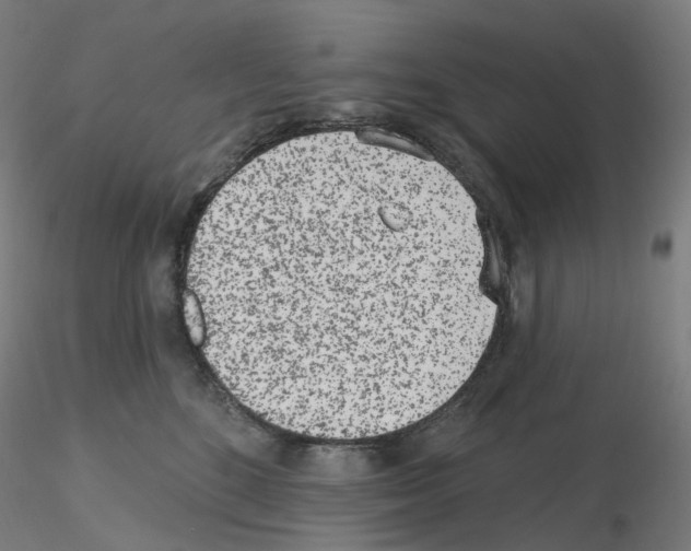 X0000115650520200912221334