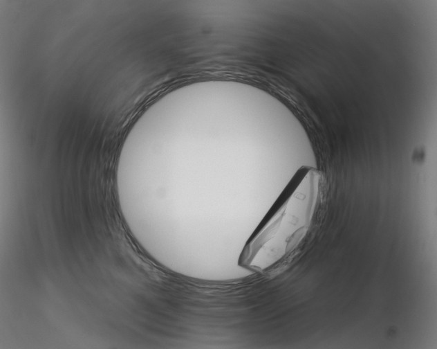 X0000115650521200912221334