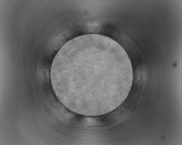X0000115650522200912221334