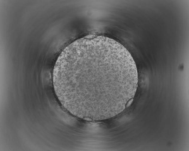 X0000115650523200912221334