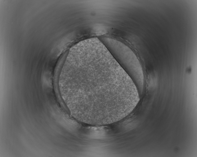X0000115650524200912221334
