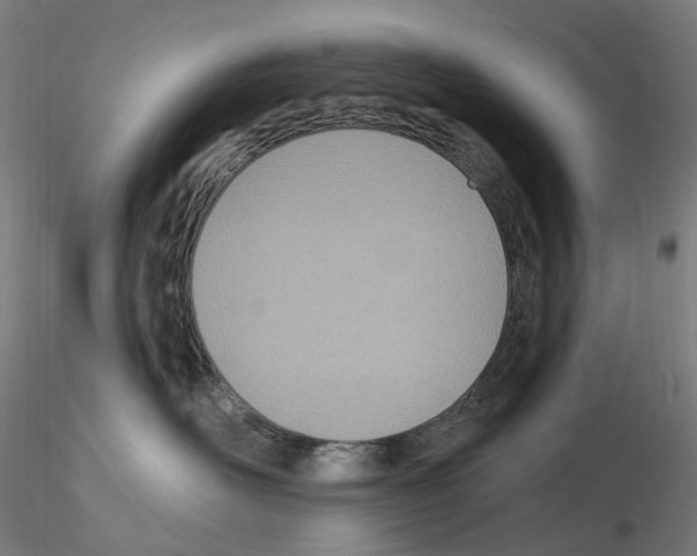 X0000115650526200912221333