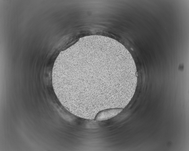 X0000115650527200912221333