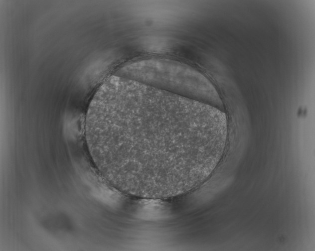 X0000115650528200912221333