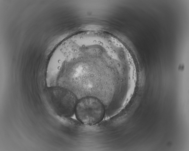 X0000115650529200912221333