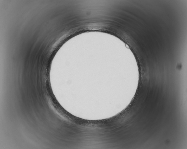 X0000115650530200912221333