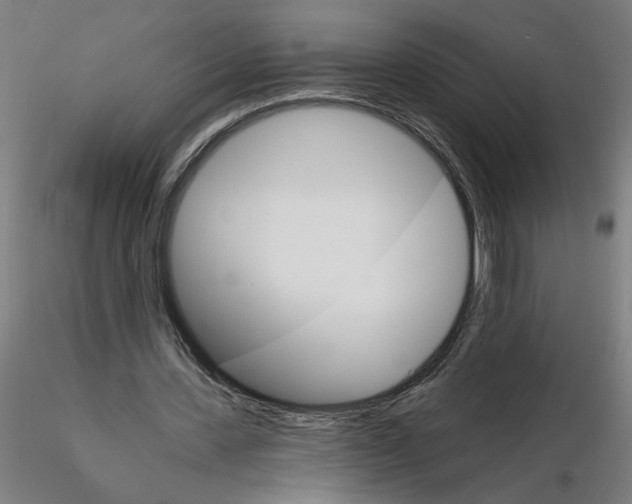 X0000115650531200912221333