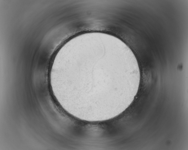 X0000115650534200912221333