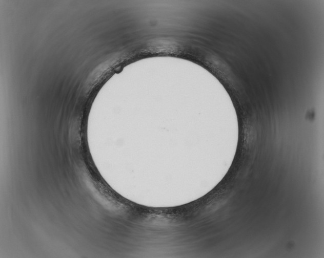 X0000115650538200912221333