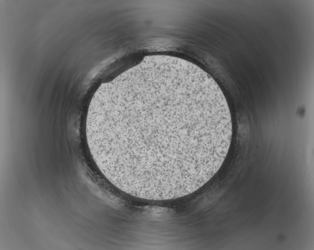 X0000115650539200912221333