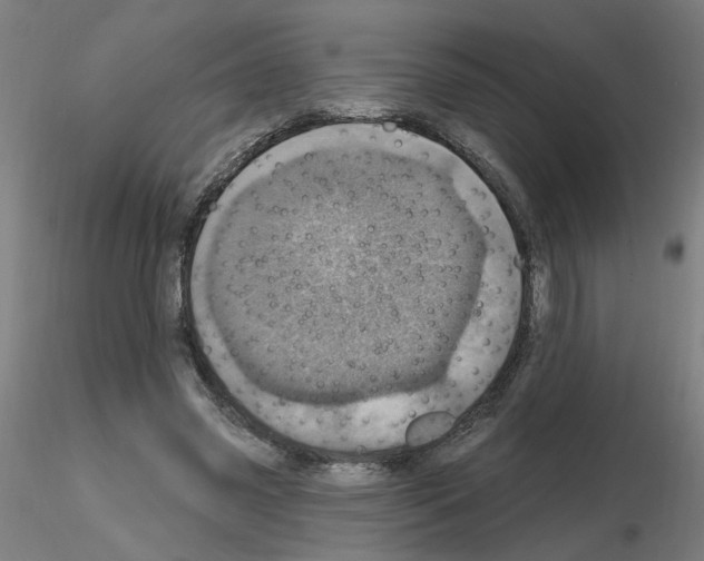 X0000115650541200912221333