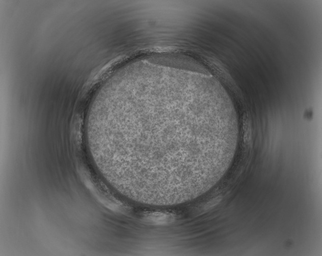 X0000115650542200912221333