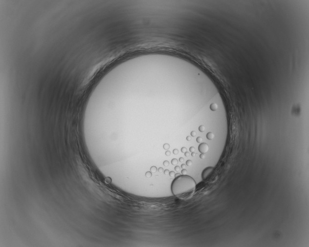 X0000115650543200912221333