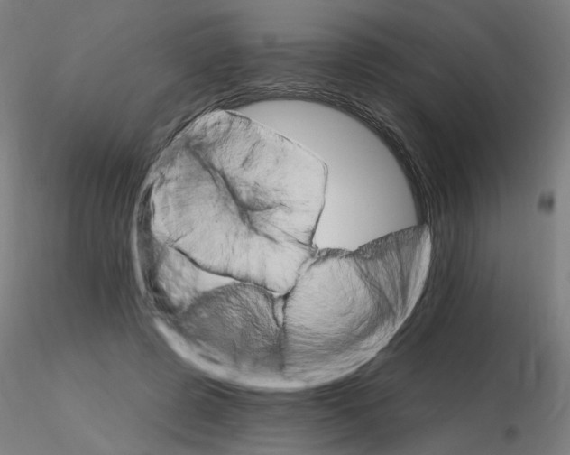 X0000115650545200912221333