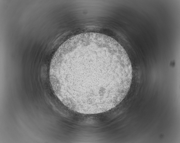 X0000115650550200912221333
