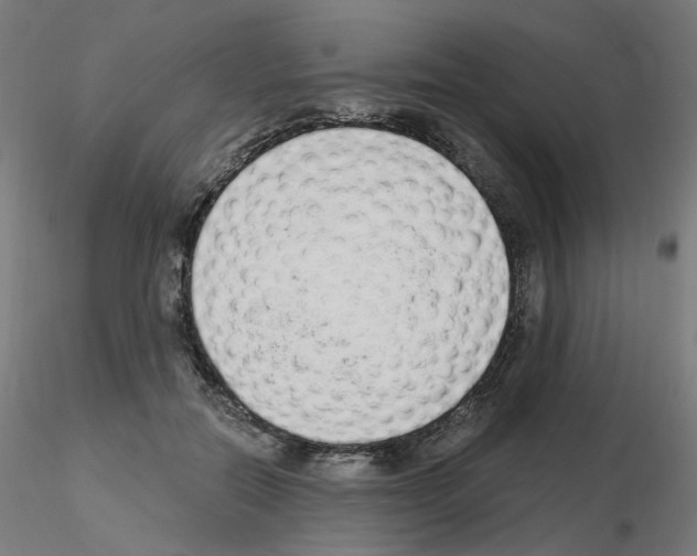 X0000115650554200912221333