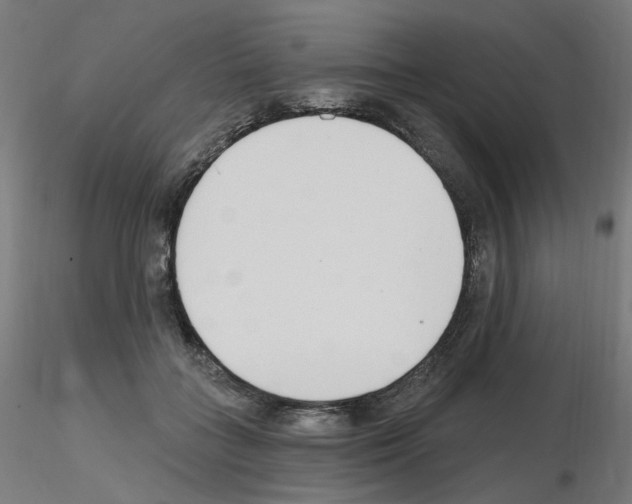 X0000115650555200912221333