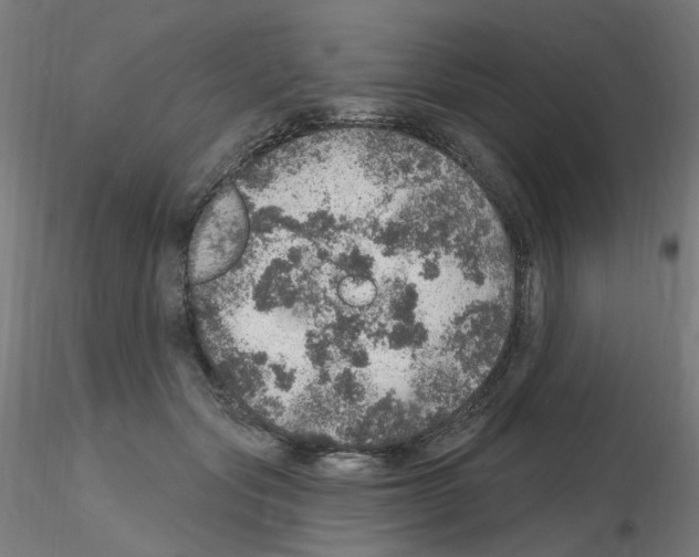 X0000115650557200912221333