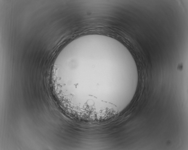 X0000115650558200912221333