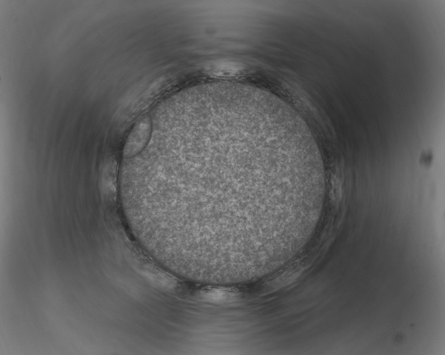 X0000115650561200912221333