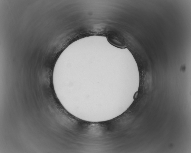 X0000115650562200912221333