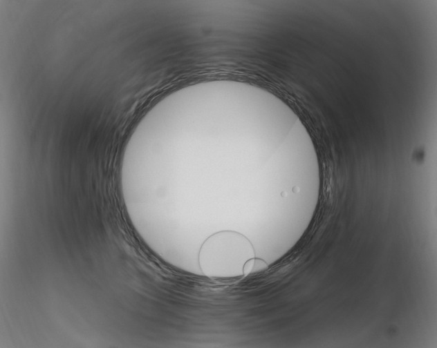 X0000115650563200912221333