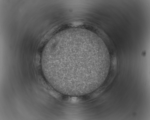 X0000115650565200912221333