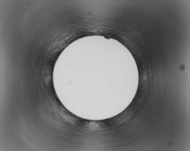 X0000115650566200912221333