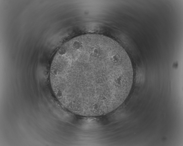 X0000115650569200912221333