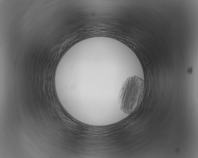 X0000115650570200912221333