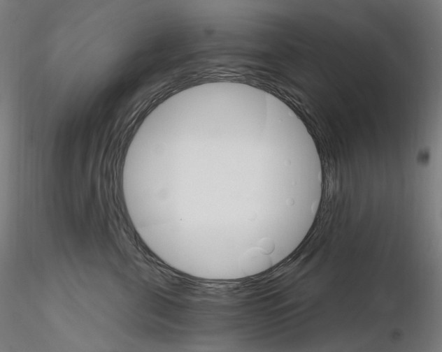 X0000115650571200912221333