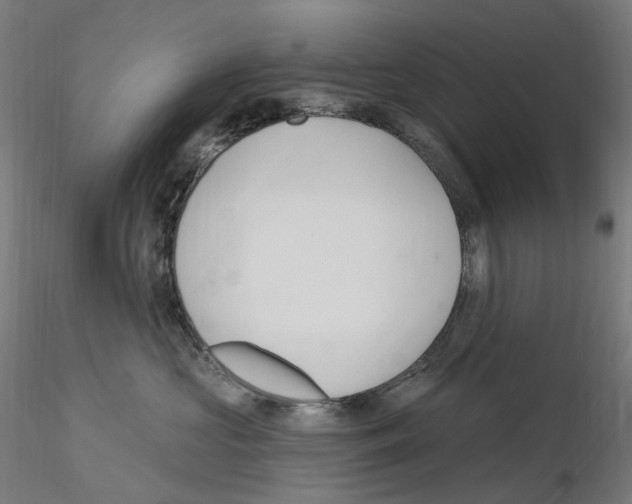 X0000115650573200912221333