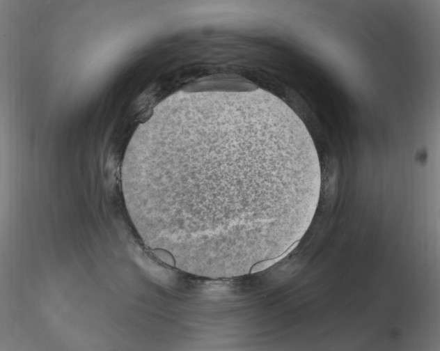 X0000115650574200912221333