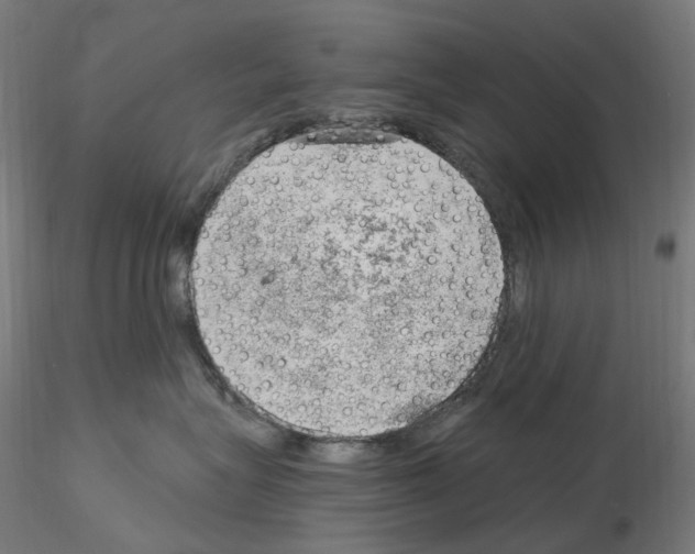 X0000115650575200912221333