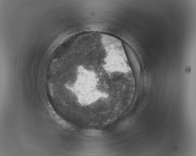 X0000115650577200912221333