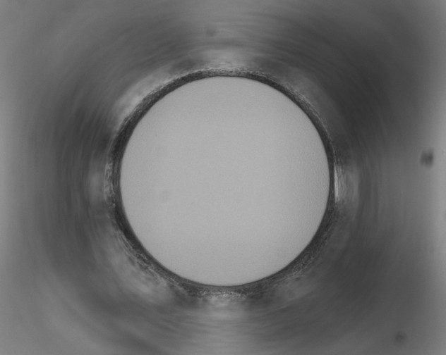 X0000115650579200912221333