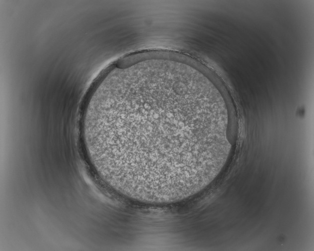 X0000115650580200912221333