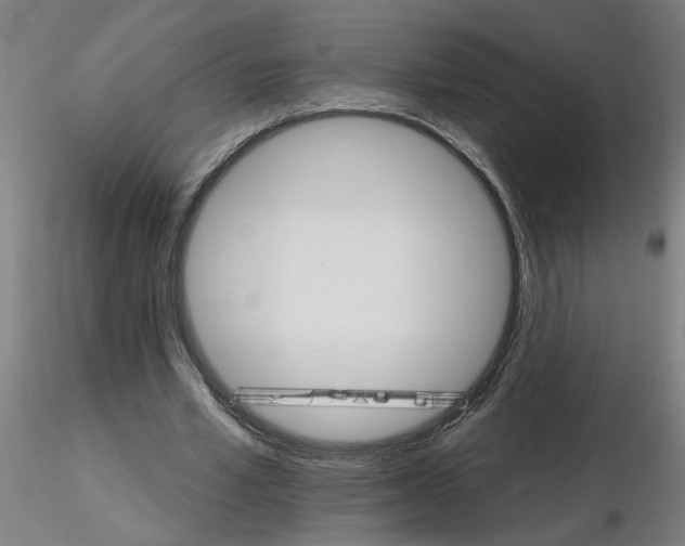 X0000115650581200912221333