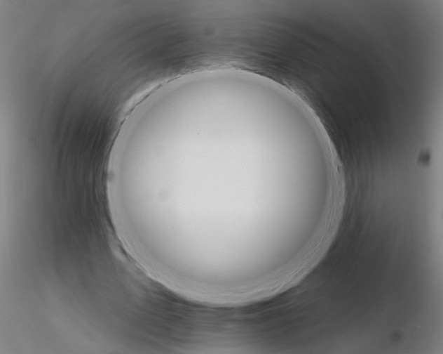 X0000115650583200912221333