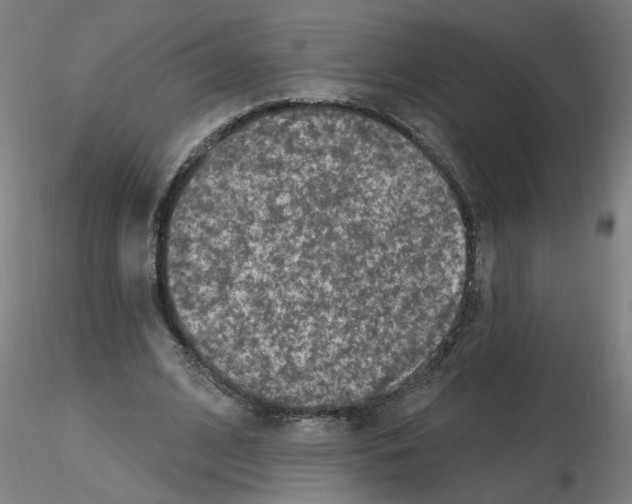 X0000115650584200912221333