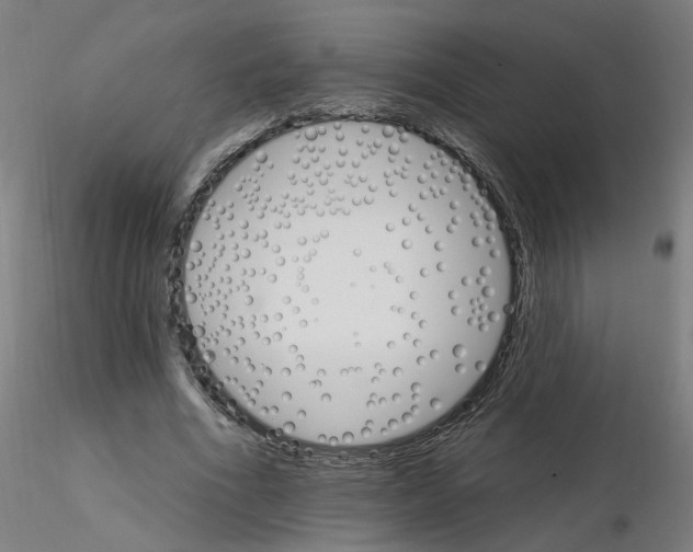 X0000115650586200912221333
